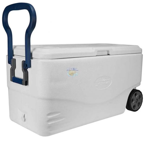 Coleman ultimate xtreme discount cooler 82 qt