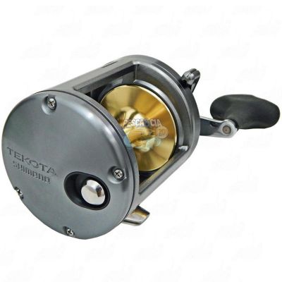 Carretilha Shimano Tekota 800 - Direita