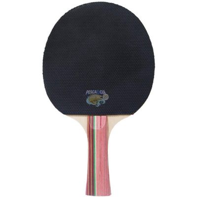 Conjunto tenis Ping Pong Set NTK Completo