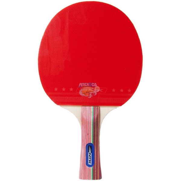 Conjunto tenis Ping Pong Set NTK Completo