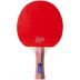 Conjunto tenis Ping Pong Set NTK Completo