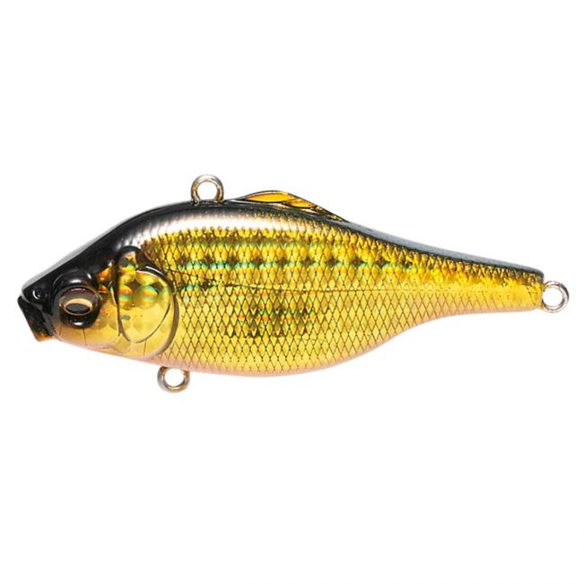 Isca Artificial Megabass Vibration-X Ultra-3 GG Kinbuna 76MM