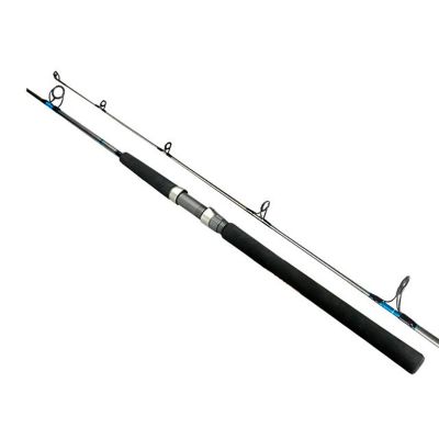 Vara Evolution GT2 Molinete GT2-S551H 20/60LB 