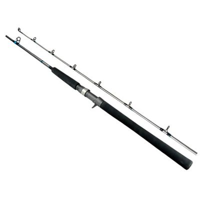 Vara Marine Sports Evolution GT2 Carretilha - C551H 1,65M 20-60LBS 