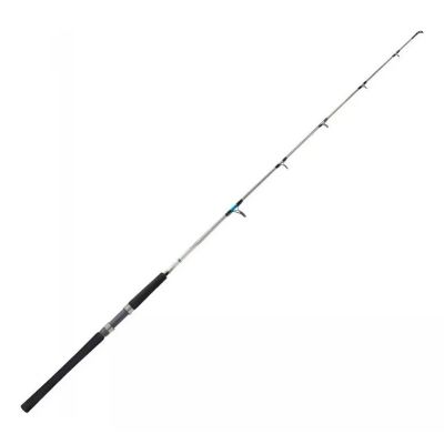 Vara Marine Sports Evolution GT2 Molinete - S601H 20-60LB 1.83M 