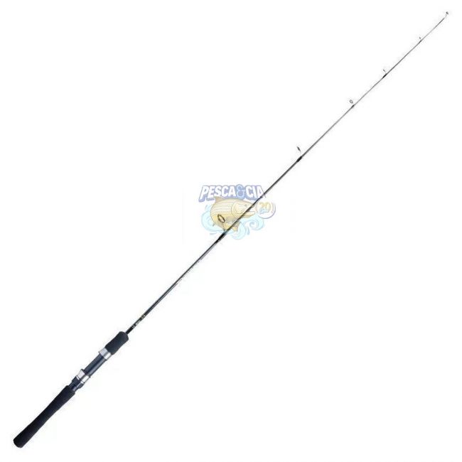 Vara Marine Sports Evolution G3 EVG-S 601H 20-40LBS Molinete - Inteiriça