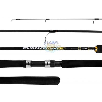 Vara Marine Sports Evolution G3 EVG-S 601H 20-40LBS Molinete - Inteiriça