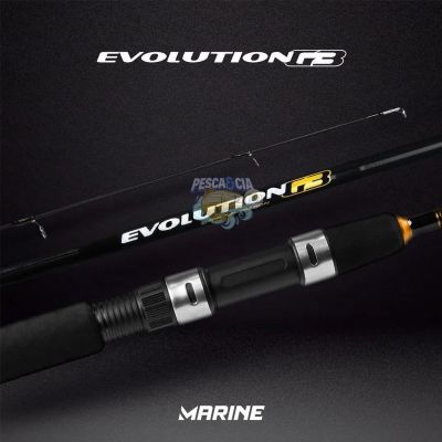 Vara Marine Sports Evolution G3 EVG-S 601H 20-40LBS Molinete - Inteiriça