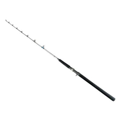 Vara Ms Evolution Gt2 C601h 20-60lb 1.83m